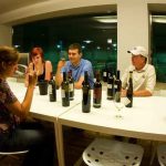 Cata de vino en las Tierras del Ebro