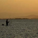 Delta_Ebro, pescador en un humedal