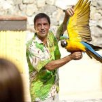 Espectáculo Aves del Paraíso en la Polynesia de Port Aventura (Salou, Costa Daurada)