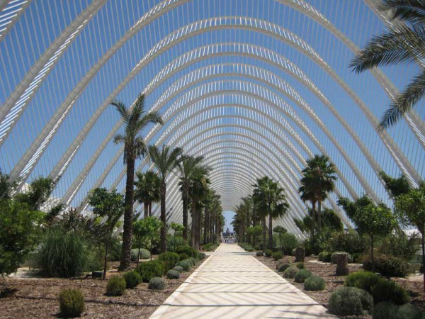 Hoteles cerca la Ciudad de las Artes y las Ciencias de Valencia Hoteles cerca la Ciudad de las Artes y las Ciencias de Valencia