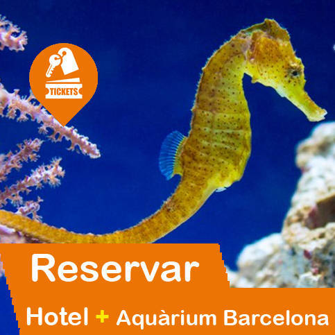 Hotel + Entradas Aquarium Barcelona