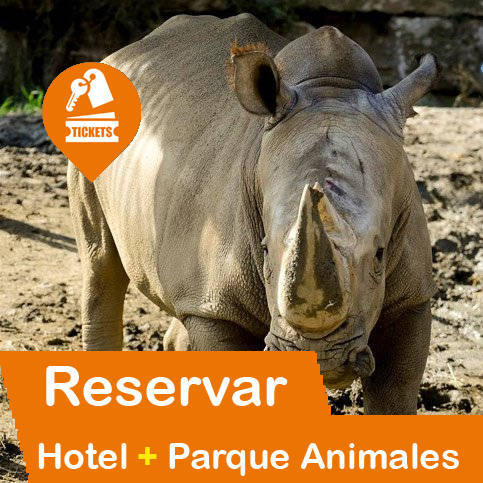 Hotel + Entradas Parques Animales